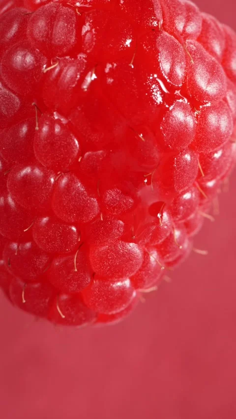 A drop flows down a raspberry berry, macro Stock Footage 310541252