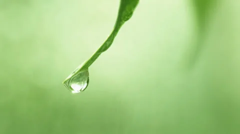 Drop 스톡 동영상 24643249