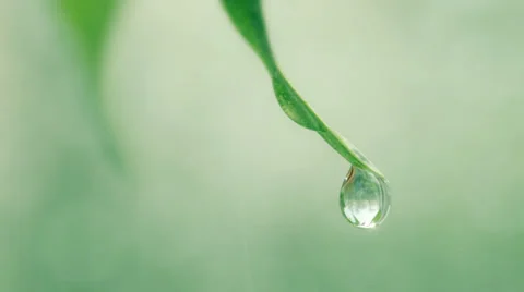 Drop Stock Footage 24643439