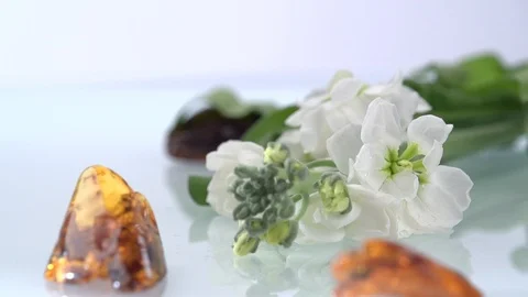 Drop fruits50 Stock Footage 119827776