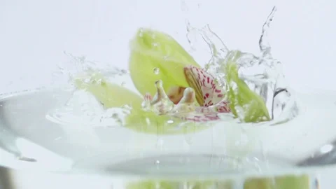 Drop fruits8 Stock Footage 119827836