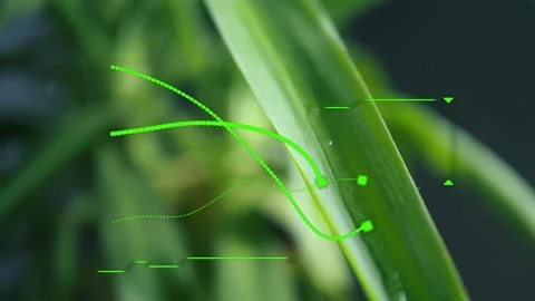 Drop glides down a green leaf analyzed by hologram. Each drop's movement is Stock Footage 274043131