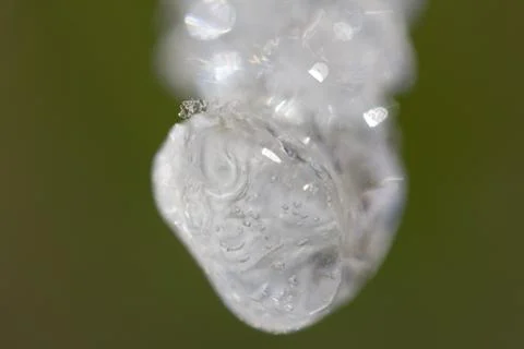 A drop of ice in nature. macro Stock Photos