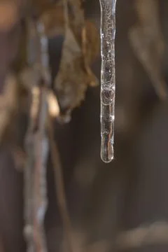 A drop of ice in nature. macro Foto stock