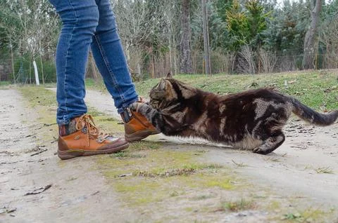 Drop it! Stock Photos