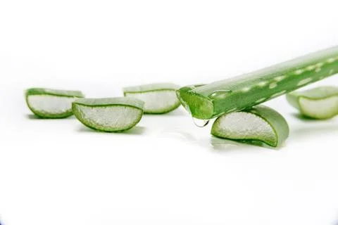 A drop of juice flows from a fresh slice on an aloe vera leaf close-up. Stock Photos