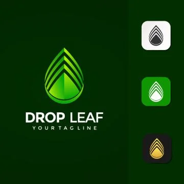 Drop Leaf Logo Design Premium Vector Template イラスト素材