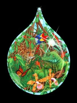 The Drop of Life Stock Illustration