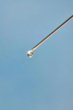 A drop of liquid drips from the needle of a Stock Photos