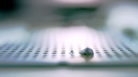 Drop of melted metal solder on device panel under light Stock Footage 275238752