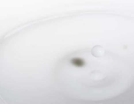 Drop milk Stock Photos