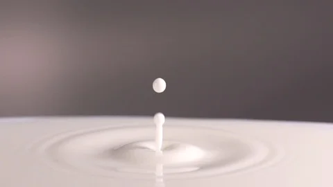 Drop of milk slow motion Stock Footage 123648421