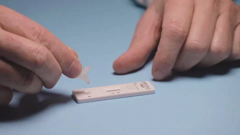 Drop nasal sample into rapid antigen test stick.PCR rantigen test for check Stock Footage 168151789