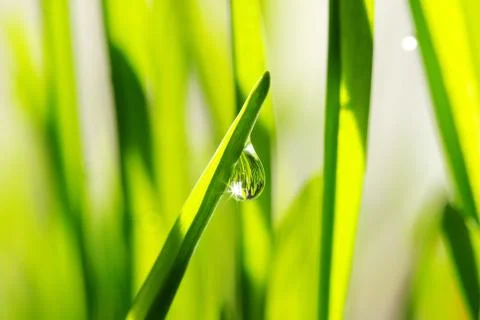 Drop Foto stock
