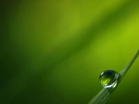 Drop Stock Photos