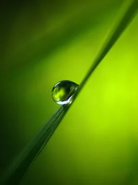 Drop Stock Photos