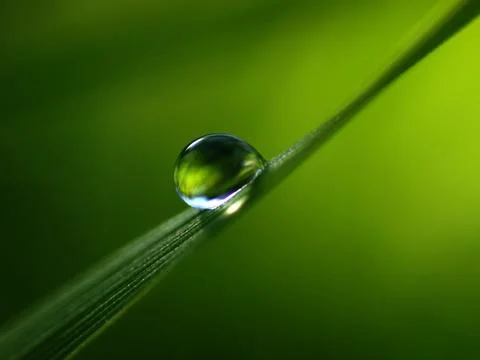 Drop Stock Photos