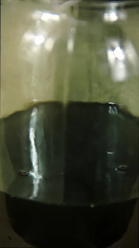 A drop of pressed vegetable crude oil drips into a glass jar. Stock Footage 168889267