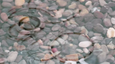 Drop of the Purest Water HD Pro Stock Footage 249730523