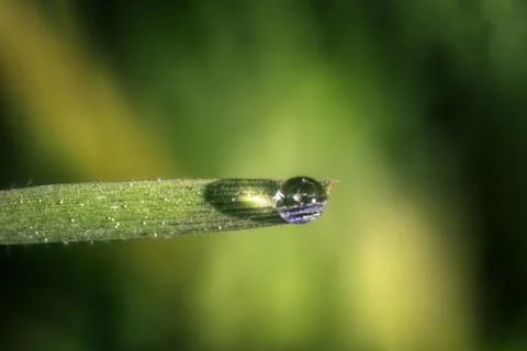 A Drop of Rain Balanced on the Edge of a Blade of Grass Stock Photos