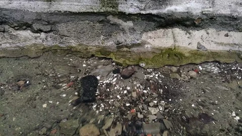 A drop of rain drips into the water. Stock Footage 238090796