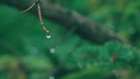 A drop of rain fell Stock Footage 234053296