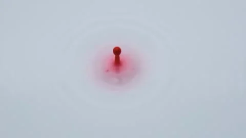 Drop of Red Ink falling into White Liquid Stock Footage 148932195