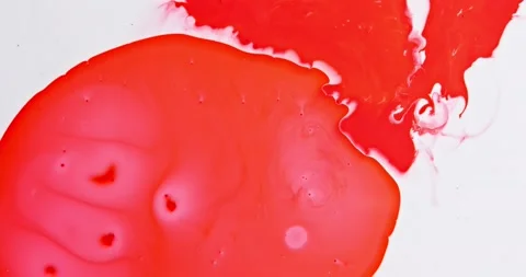 A drop of red paint quickly spreads into an even circle on a white background Video stock 158452875