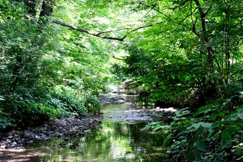 A Drop In River Stock Photos