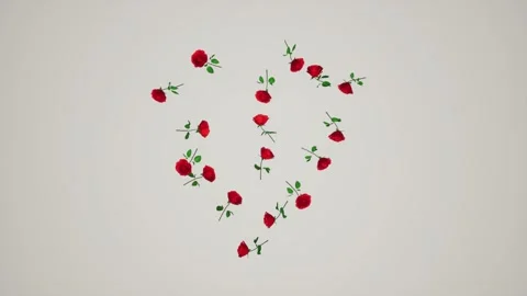 Drop rouses animation floor ground white background romance valentines day c Stock Footage 229435770