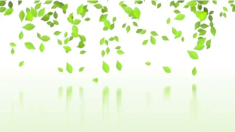 Drop off running green leaf into water Stock Footage 73232305