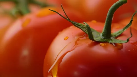 A drop runs down a ripe tomato Stock Footage 292092501