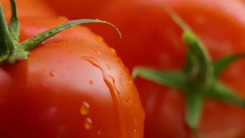 A drop runs down a tomato Stock Footage 282647059