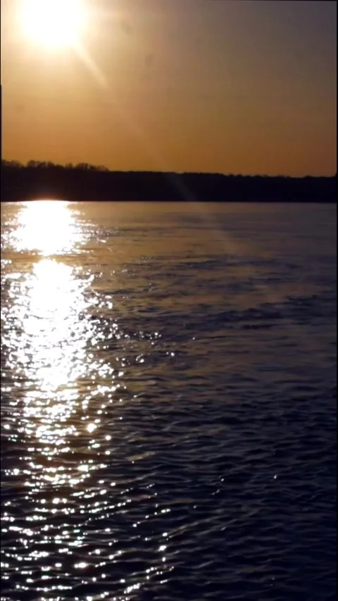 Drop shadow on a stream water Stock Footage 183336439