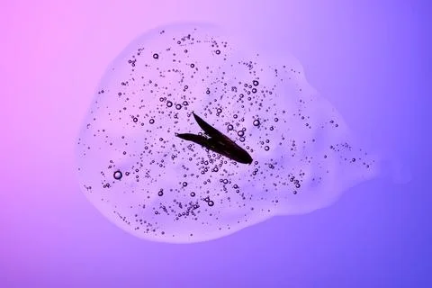 A drop of shampoo with bubbles. A texture with a leaf in it. Stock Photos