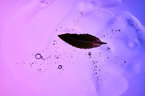 A drop of shampoo with bubbles. A texture with a leaf in it. Stock Photos