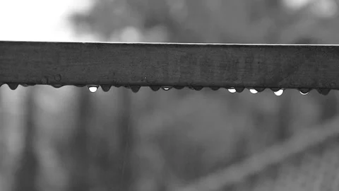DROP WATER BW Stock Footage 225474855