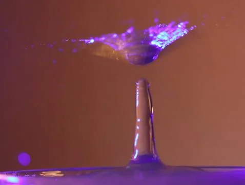 Drop of water colliding when it bounces and forming a palm tree Stock Photos
