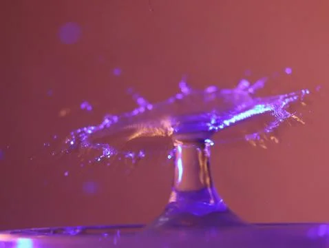 Drop of water colliding when it bounces and forming a palm tree Stock Photos