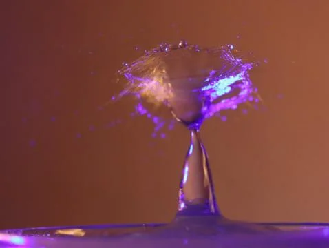 Drop of water colliding when it bounces and forming a palm tree Stock Photos