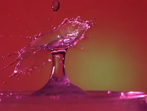 Drop of water colliding when it bounces and forming a palm tree Stock Photos