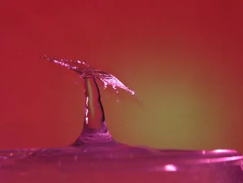 Drop of water colliding when it bounces and forming a palm tree 库存照片