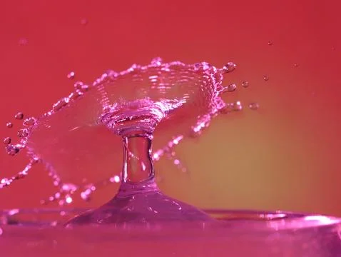 Drop of water colliding when it bounces and forming a palm tree 写真素材