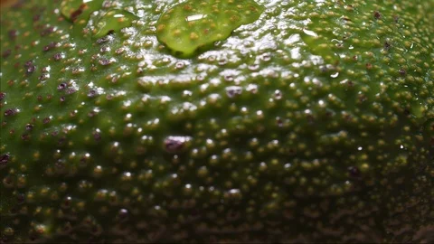 A drop of water drains over a fresh avocado, a macro static shot. Green Stock Footage 125771393