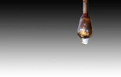 Drop of water dropping on the grey gradient background Stock Photos