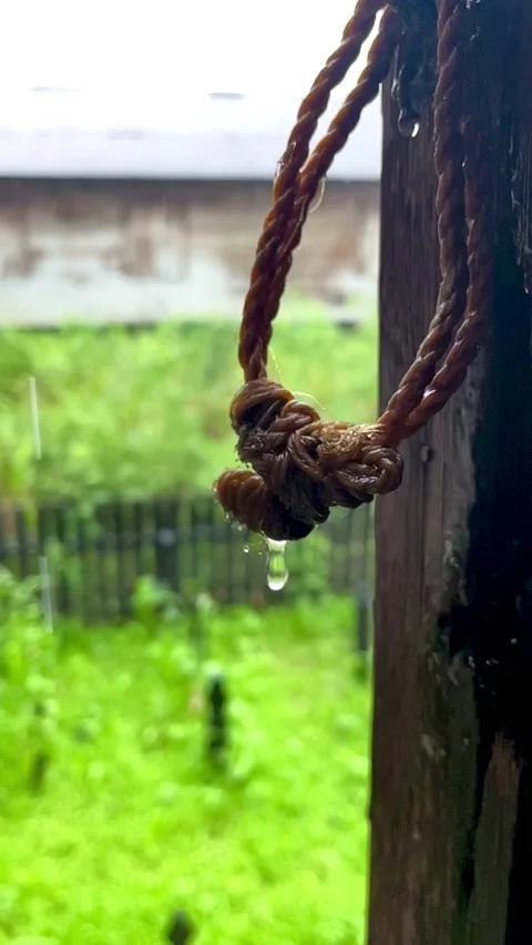 Drop of water fall from the rain in slow motion Stock Footage 231405568