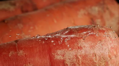 Drop of water falling on carrots in slow motion Stock Footage 156809209