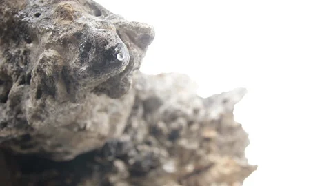 A drop of water falls down. Bottom view. Stock Footage 97767535