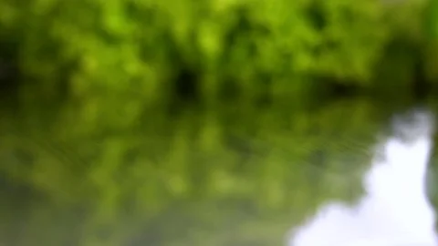 A drop of water falls Stock-Footage 85178368