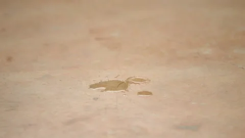 Drop of water that falls Video stock 140110307